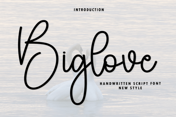 Biglove: A Fresh Take on the Modern Signature Script