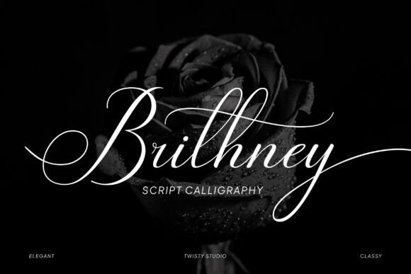 Brithney: The Elegant Script Font for Modern Designers