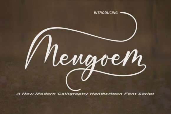 Meugoem: A Dance of Style in Modern Typography